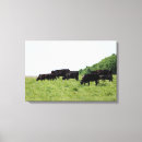 Suche nach kalb leinwandbilder Bauernhof