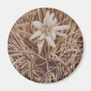 Suche nach edelweiss magnete Weiß