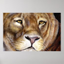 Suche nach fleisch fressendes tier poster Säugetier