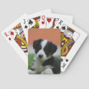 Suche nach 6 spielkarten Hund