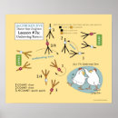 Suche nach diagram kunst Für alle