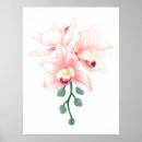 Suche nach rote orchidee poster Orchideen