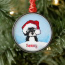 Suche nach havaneser ornamente Havanisch