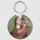 Suche nach orang utan schlüsselanhänger Affen