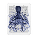 Suche nach das kraken magnete Albern