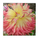 Suche nach rosa dahlie fliesen Jede person