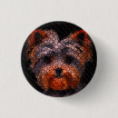 Suche nach yorkie buttons Yorkshire terrier