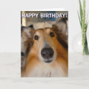 Suche nach lassie karten Hund