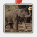 Suche nach thailand ornamente Elefant