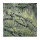 Suche nach live fliesen Eichen