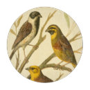 Suche nach hintergrund schneidebrettchen Niederlassung