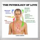Suche nach physiologie poster Anatomie