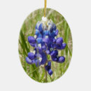 Suche nach digitale malerei ornamente Blume