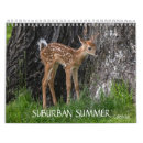 Suche nach sommer kalender Vögel