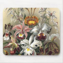 Suche nach ernst mousepads Haeckel