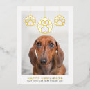 Suche nach hundefreunde karten Gold