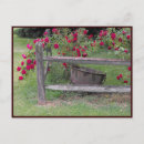 Suche nach 42 postkarten Blume