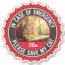 Suche nach retten sie meine katzen aufkleber Haustier