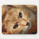 Suche nach haustier spaß mousepads Katze