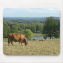 Suche nach limousine mousepads Für alle