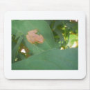 Suche nach grüne frösche mousepads Jede person