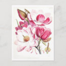 Suche nach magnolie postkarten Botanisch