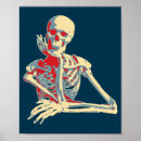 Suche nach anatomie skelett poster Skelette