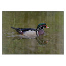 Suche nach ente schneidebrettchen Für alle