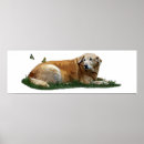 Suche nach gelber labrador poster Jede person