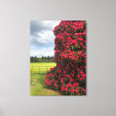 Suche nach strauß leinwandbilder Blume