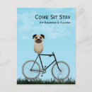 Suche nach welpe flyer Mops