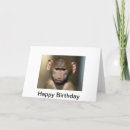 Suche nach pavian postkarten Lustig