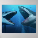 Suche nach megalodon poster Dinosaurier