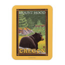 Suche nach schwarzer bär magnete Tragen