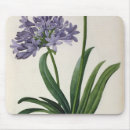 Suche nach agapanthus mousepads Blume