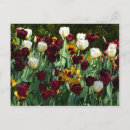 Suche nach gelbe blumen postkarten Quelle