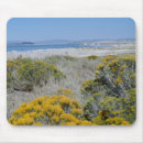 Suche nach gelbe wildblumen mousepads Landschaft