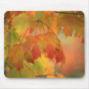 Suche nach nordost mousepads Herbst