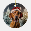 Suche nach rhodesian ridgeback weihnachtsschmuck Welpe