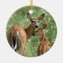 Suche nach rotwild ornamente Kitz