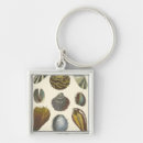 Suche nach sammlungen schlüsselanhänger Muschel