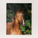 Suche nach kastanie puzzle Kopfschuss