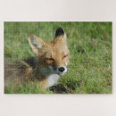 Suche nach braunbär puzzle Für alle