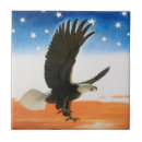 Suche nach amerikanische flagge fliesen Patriotismus