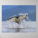 Suche nach vancouver kanada poster Ozean