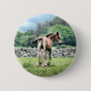 Suche nach fohlen buttons Pferde