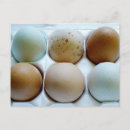 Suche nach gemischtes postkarten Foto