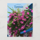 Suche nach bougainvillea postkarten Rosa blume