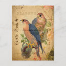 Suche nach falcone postkarten Peregrine