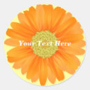 Suche nach orange gerbera aufkleber Gelb